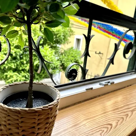 Charming In Alfama Appartement